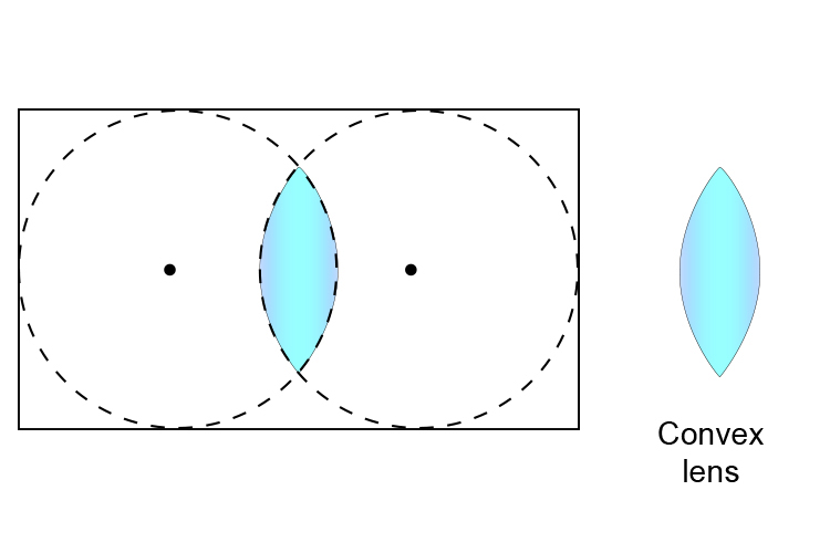 Convex lens formed from cutting out two circles